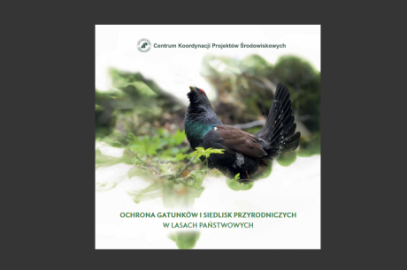 Kompleksowy projekt ochrony gatunków i siedlisk przyrodniczych na obszarach zarządzanych przez PGL Lasy Państwowe