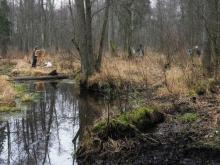 Międzynarodowy Plener Malarski w urokliwych lasach Nadleśnictwa Browsk